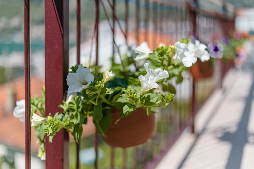 Apartments Feniks كوتور المظهر الخارجي الصورة